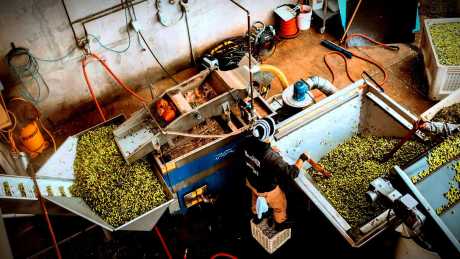 Durant Olive Mill | Official Guide to the World's Best Olive Oils
